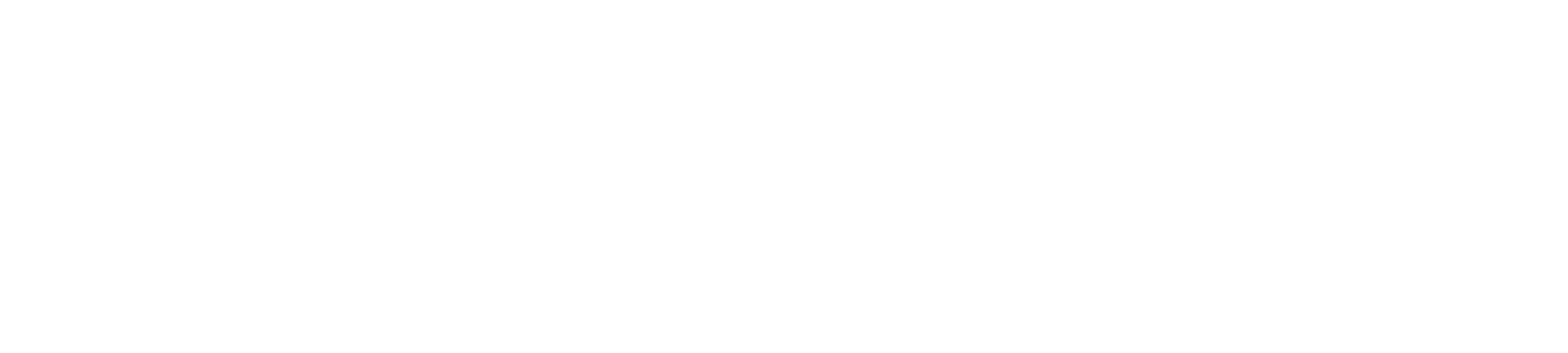 BuenVet