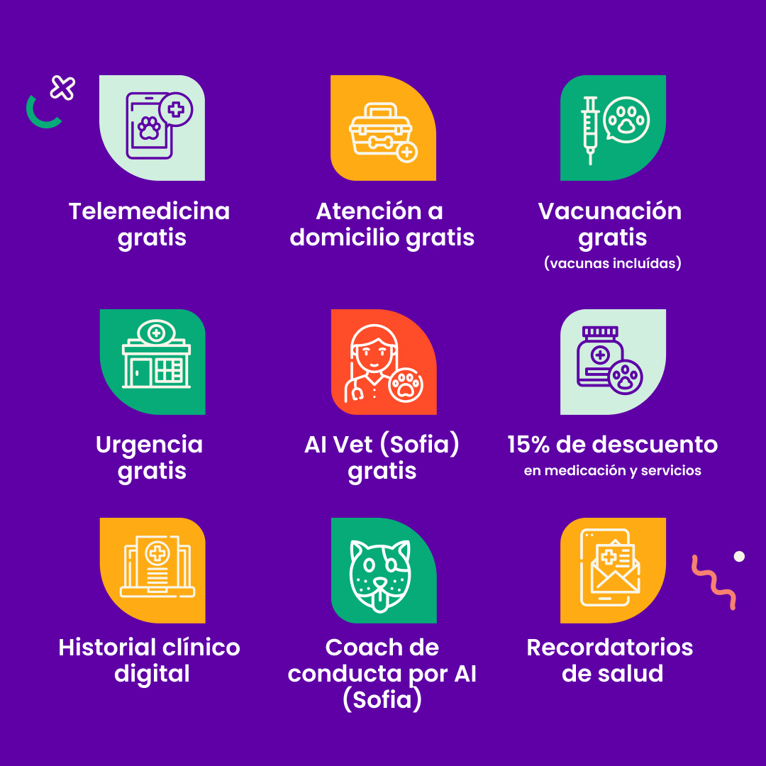 Beneficios buenVet