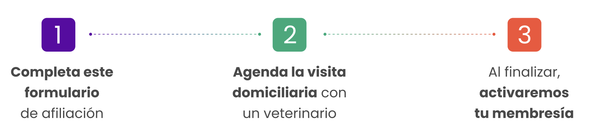 Pasos del proceso